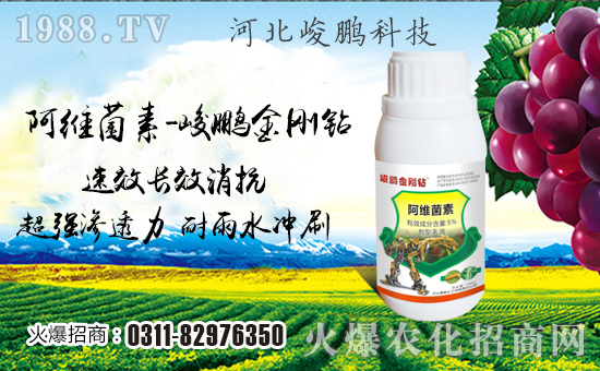 �����i�Ƽ���ףȫ��(gu��)�������w���������������