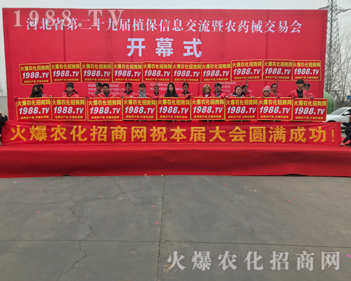 2018�ӱ�ֲ�����ϻ��r(n��ng)���W(w��ng)��Ӣ�ɳ�������(zh��n)����