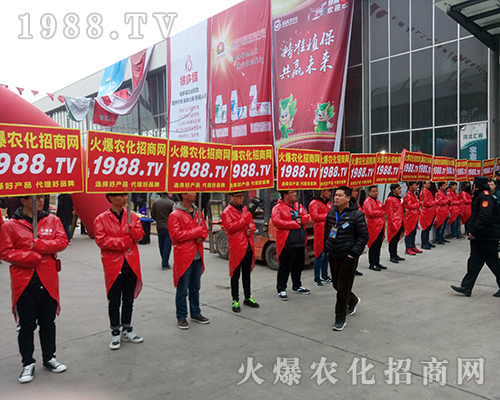 Ҫ����������1988.TV�ذ�����2018�ӱ�ֲ������