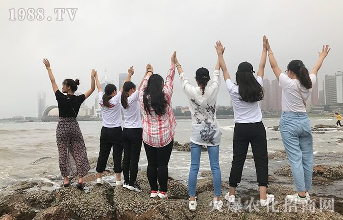 �������u����֮����Ʒ�x����vʷ�Ļ�������