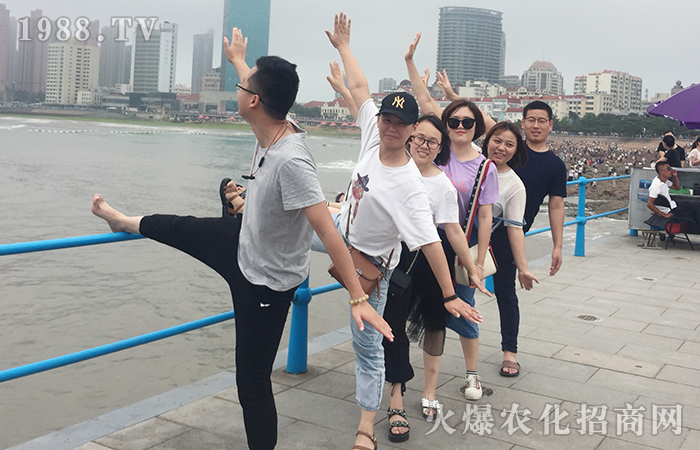 �泯�󺣣���ů���_