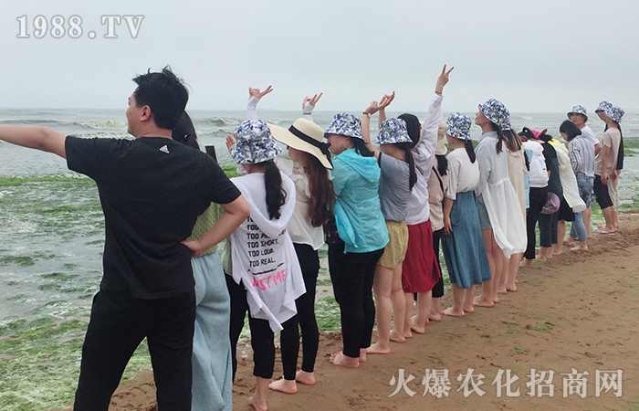 ε�{(l��n)�������������u