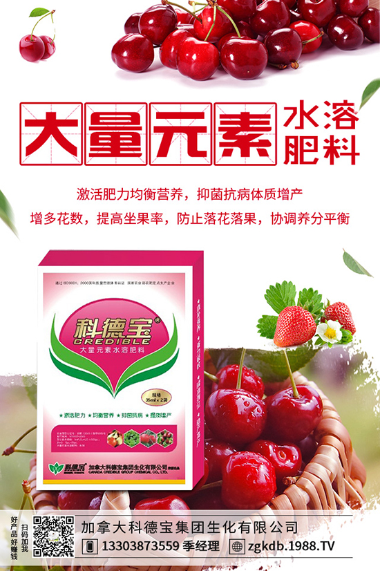 反季節(jié)種金針菇如何培育，反季節(jié)金針菇培育方法！