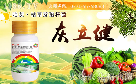 ���Ͽ���ɭ�𱬁��u���ٺ����r(n��ng)�����̾W(w��ng)�_��(chu��ng)���x����