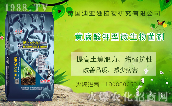 �r���Wϲӭ��������Ӣ���ρ��̔y��1988.TV���_�ؾW�j������������