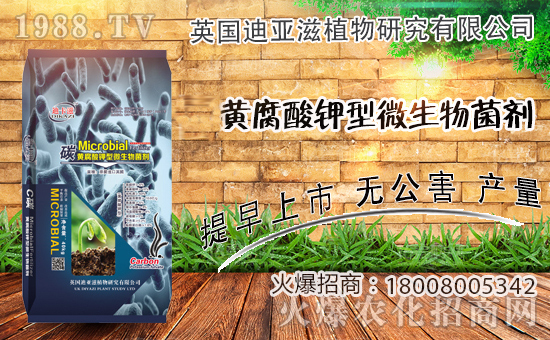 �r���Wϲӭ��������Ӣ���ρ��̔y��1988.TV���_�ؾW�j������������