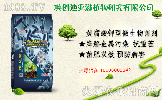 �r���Wϲӭ��������Ӣ���ρ��̔y��1988.TV���_�ؾW�j������������