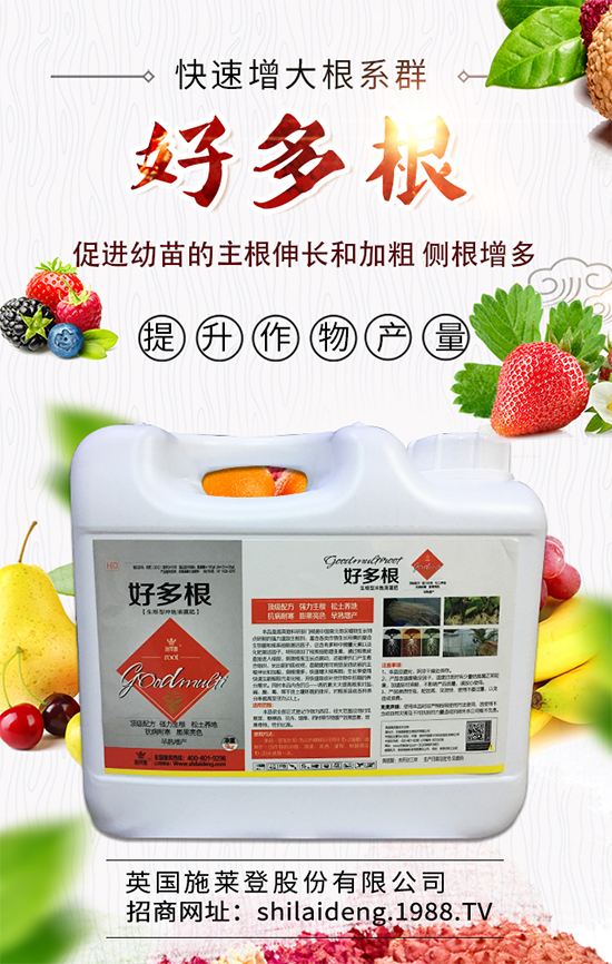 2019��10��12�ս��Շ�(gu��)��(n��i)������������(b��o)�r(ji��)������������(b��o)