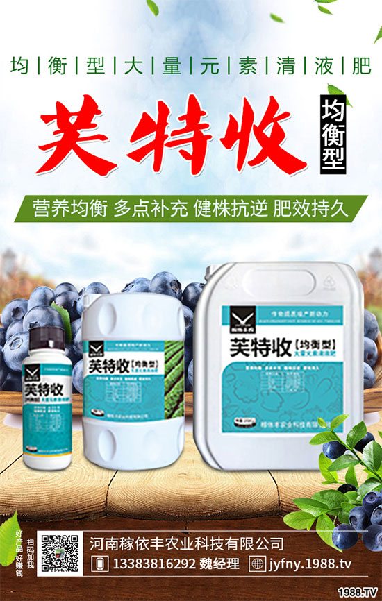 陽臺上能種植上海青嗎？該注意什么？陽臺上種植上海青的注意事項