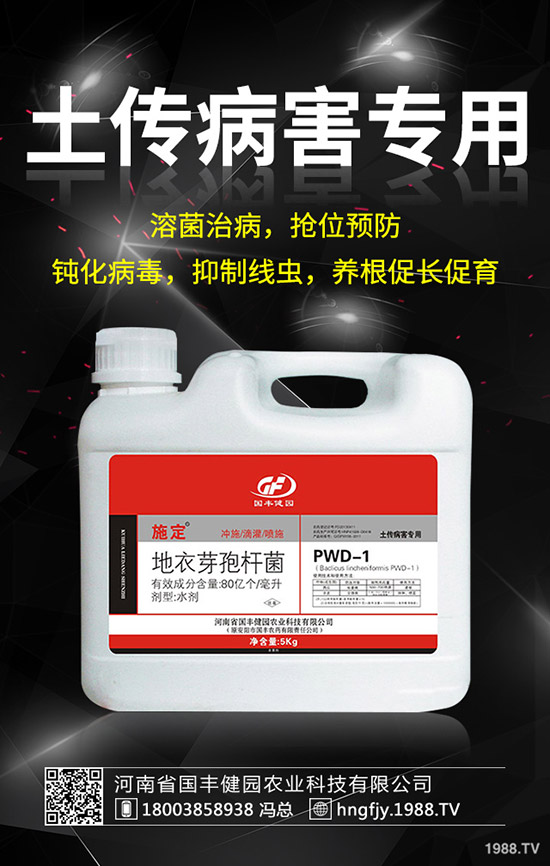 С�����݄�ʲô�r(sh��)������С������݄��ĕr(sh��)�g��ע�����(xi��ng)��