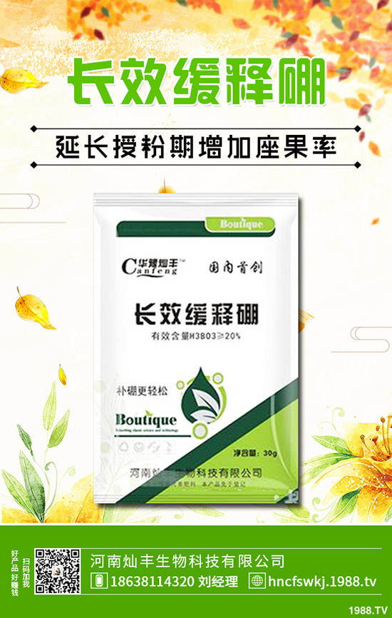 ���X(qi��n)�ݺ��~�X(qi��n)����ʲô��ͬ�����X(qi��n)�ݺ��~�X(qi��n)�ݵą^(q��)�e��Щ��