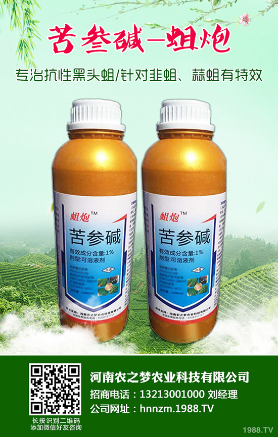 ��ĸ�ݵĹ�Ч�c���ã���ĸ�ݵ�ʹ�ý�����