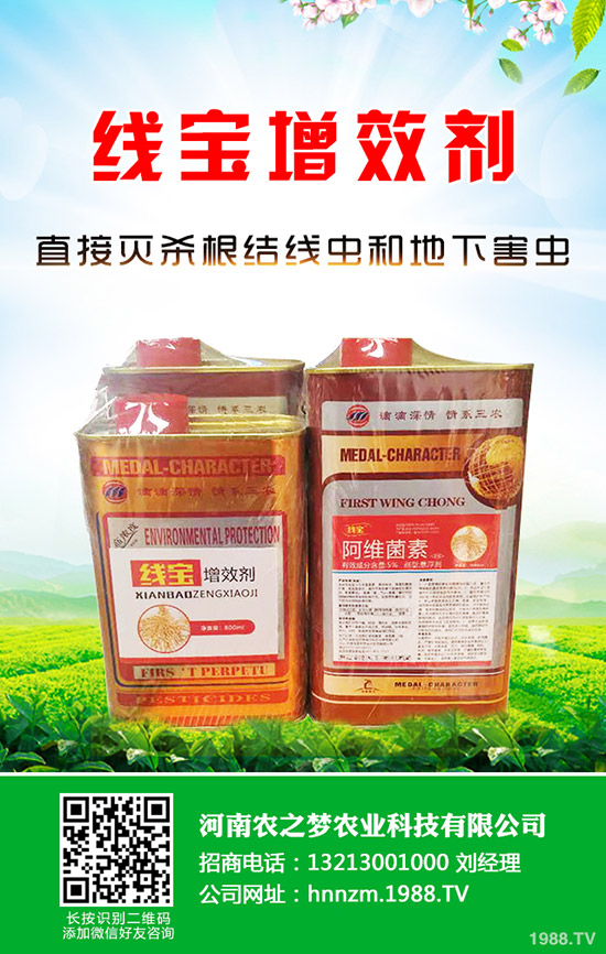 芹菜發(fā)芽慢如何解決？芹菜的催芽小技巧！