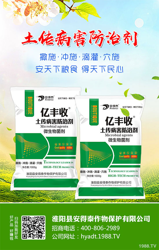 白蘿卜的功效與作用，白蘿卜營養(yǎng)價值！