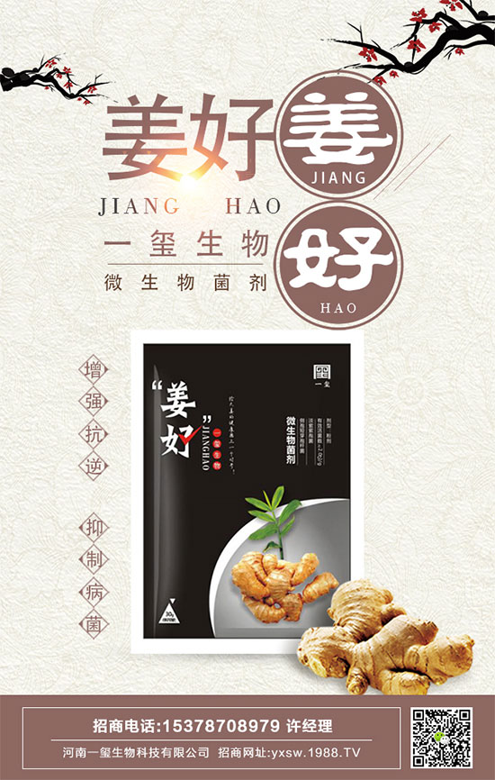 茄子的功效與作用，茄子的營(yíng)養(yǎng)價(jià)值