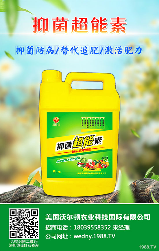 С�ײ������װ߲�ԓ��ô�k���ײ˰װ߲����δ�ʩ