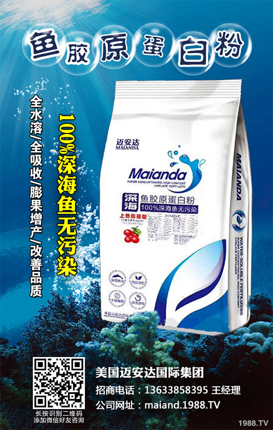 �ײ˲�����Σ���޴�������ԓ��ô�k���ײ˲�����������ΈD�V