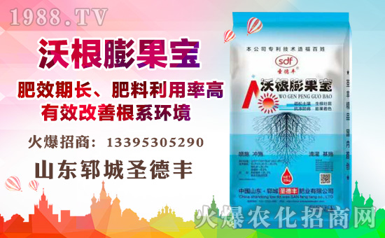     ����ʮ����1988.TVϲӭ��������ɽ�|�i��ʥ���S��(qi��ng)��(sh��)��(l��i)�u��