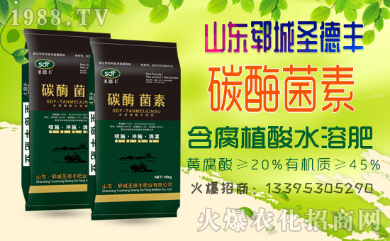     ����ʮ����1988.TVϲӭ�����ѣ�ɽ�|�i��ʥ���S��(qi��ng)��(sh��)��(l��i)�u��