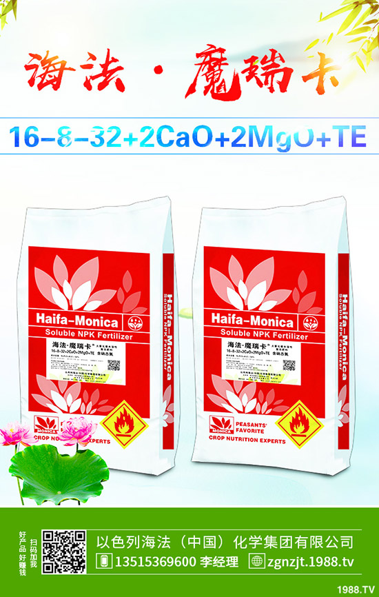     2019��10��21�ս��Շ���(n��i)���@�Ј�(ch��ng)�����������S��(b��o)�r(ji��)һ�[