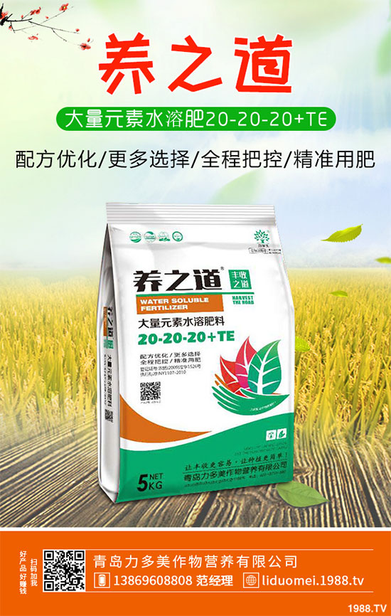 白菜白銹病危害這么大，到底該如何防治？白菜白銹病防治措施