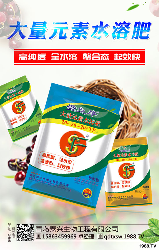 白菜根腐病有哪些危害癥狀？該如何防治？白菜根腫病的識(shí)別與防治！