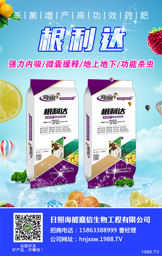 白菜根腐病有哪些危害癥狀？該如何防治？白菜根腫病的識(shí)別與防治！