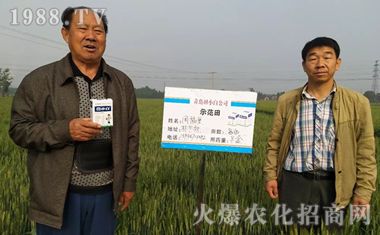 節(jié)節(jié)麥如何防除，用什么藥？