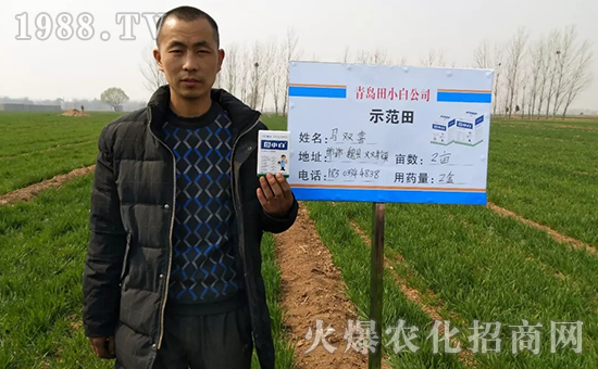 節(jié)節(jié)麥如何防除，用什么藥？