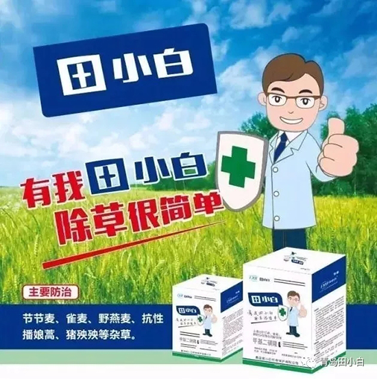 節(jié)節(jié)麥如何防除，用什么藥？怎么打藥效果好？