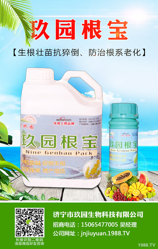 �������x��η����������x��Σ�����l(f��)��Ҏ(gu��)����