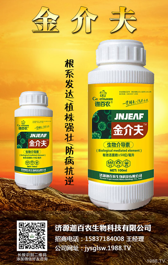 ���������o��������ô�k�������o���������\���c���Σ�