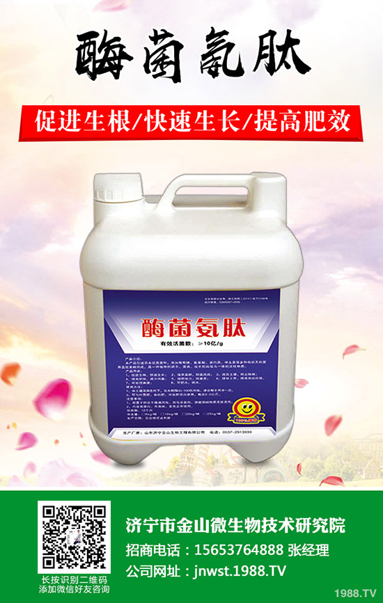 天冬怎樣種植，天冬高產(chǎn)管理技術(shù)！