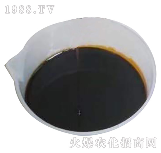 �ӱ���������ɹ����s1988.TV���y�ֹ���(chu��ng)��(zh��n)��(j��)��