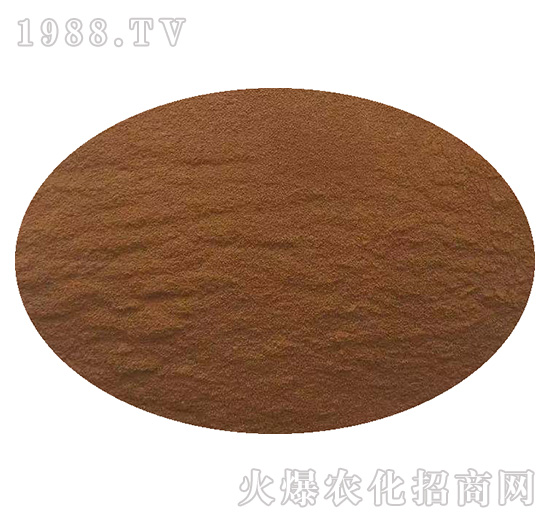 �ӱ���������ɹ����s1988.TV���y�ֹ���(chu��ng)��(zh��n)��(j��)��