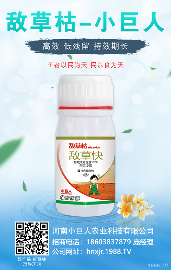 金銀花的種植技術(shù)？2020年金銀花種植前景分析