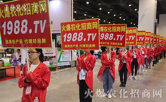 ǧ�̅R������Ʒ�Ƽ�|2019�����r(n��ng)����(hu��)ʢ���_Ļ��