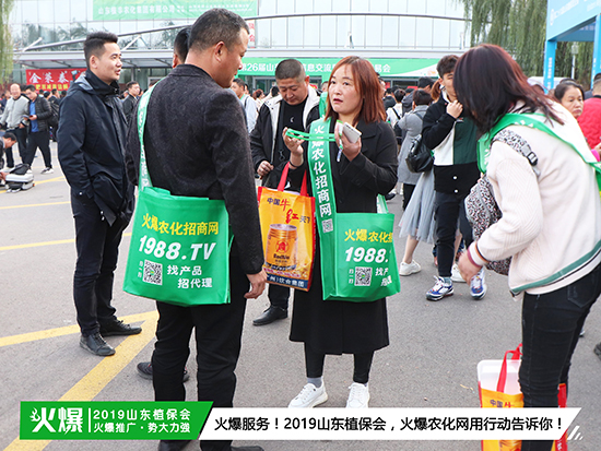 �F(xi��n)��ֱ����2019ɽ�|ֲ����ʢ���_Ļ��ǧ�̅R��������ȼ��ȫ��!-5