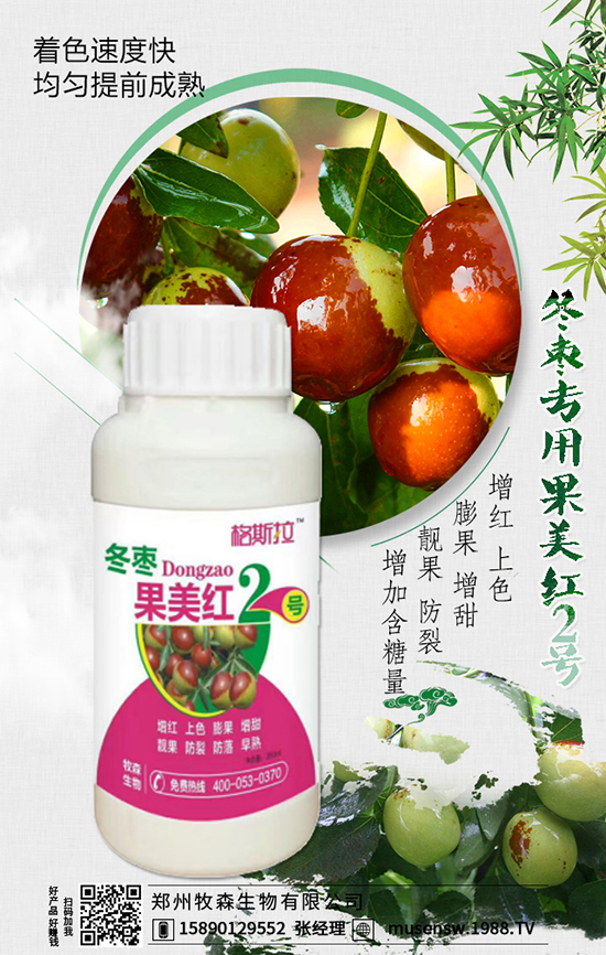 ������ɭ�������޹�˾1