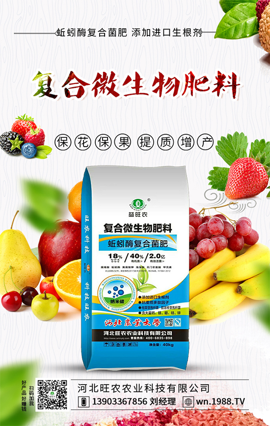 芥菜種子怎么播種？ 芥菜的種植方法！