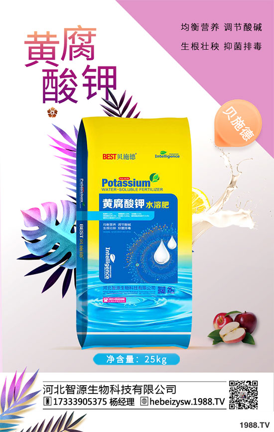 八月炸怎樣種植？八月瓜栽培技術(shù)！