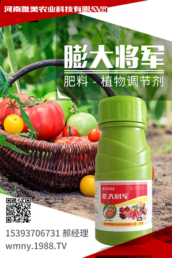 小麥底肥施足的依據(jù)是什么？小麥底肥的施用方案