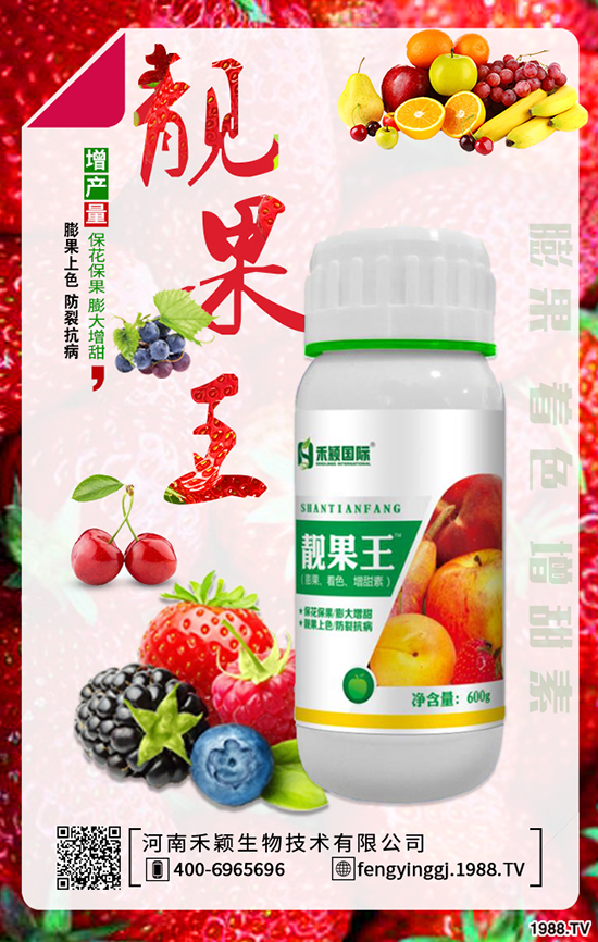 �˅����Nֲ���g