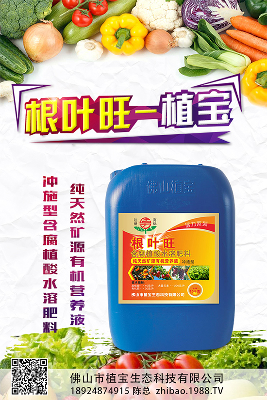 越冬茄子該如何施肥？冬茬茄子施肥技術(shù)要點(diǎn)