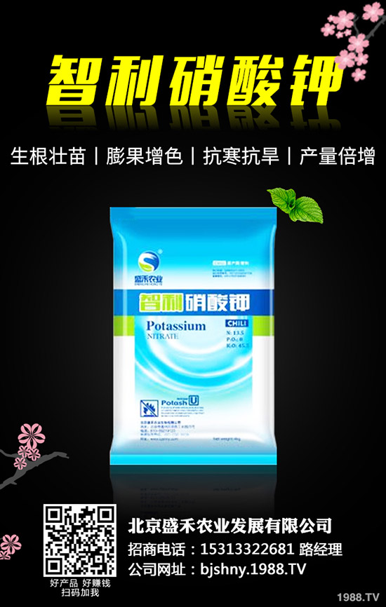 �ڶ�ʲô�r(sh��)��Nֲ���ڶ��ķNֲҪ�c(di��n)����Щ��