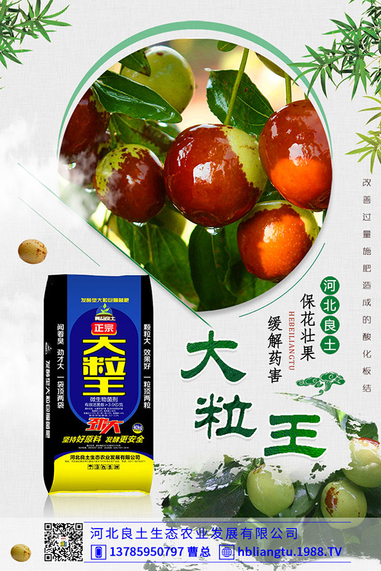 ����仨���ԭ������Щ�������������������