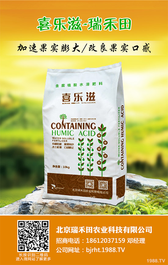 2019��11��12�ս��ո������؏S�҈�(b��o)�r(ji��)�^�m(x��)�µ������غ����A(y��)�y(c��)��