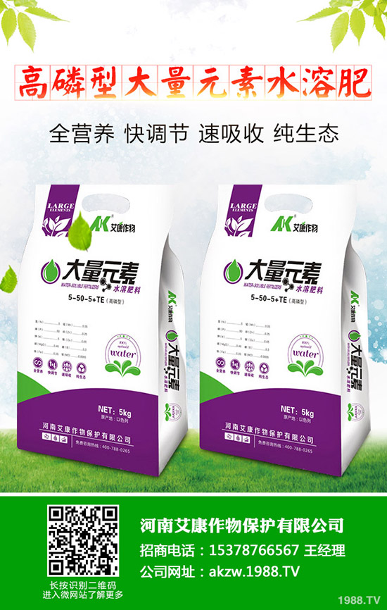 ���؃r(ji��)��Εr(sh��)���{(di��o)�������������������߄ݷ���2019-11-13