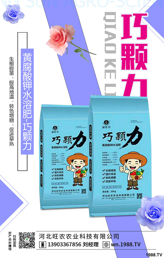 ���؃r(ji��)�����һ�����r(ji��)���»�������2019-11-13���س��S�r(ji��)���A(y��)��(b��o)��