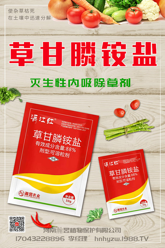 草莓根腐病得了根腐病咋辦？草莓根腐病發(fā)生條件、發(fā)病發(fā)癥狀及防治！
